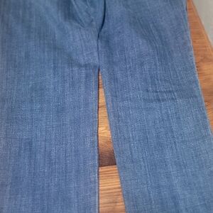 Chico's Skinny Jeans with Brown Cream, and BLAFloral Embroidery